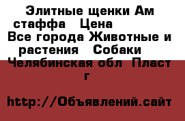 Элитные щенки Ам.стаффа › Цена ­ 25 000 - Все города Животные и растения » Собаки   . Челябинская обл.,Пласт г.